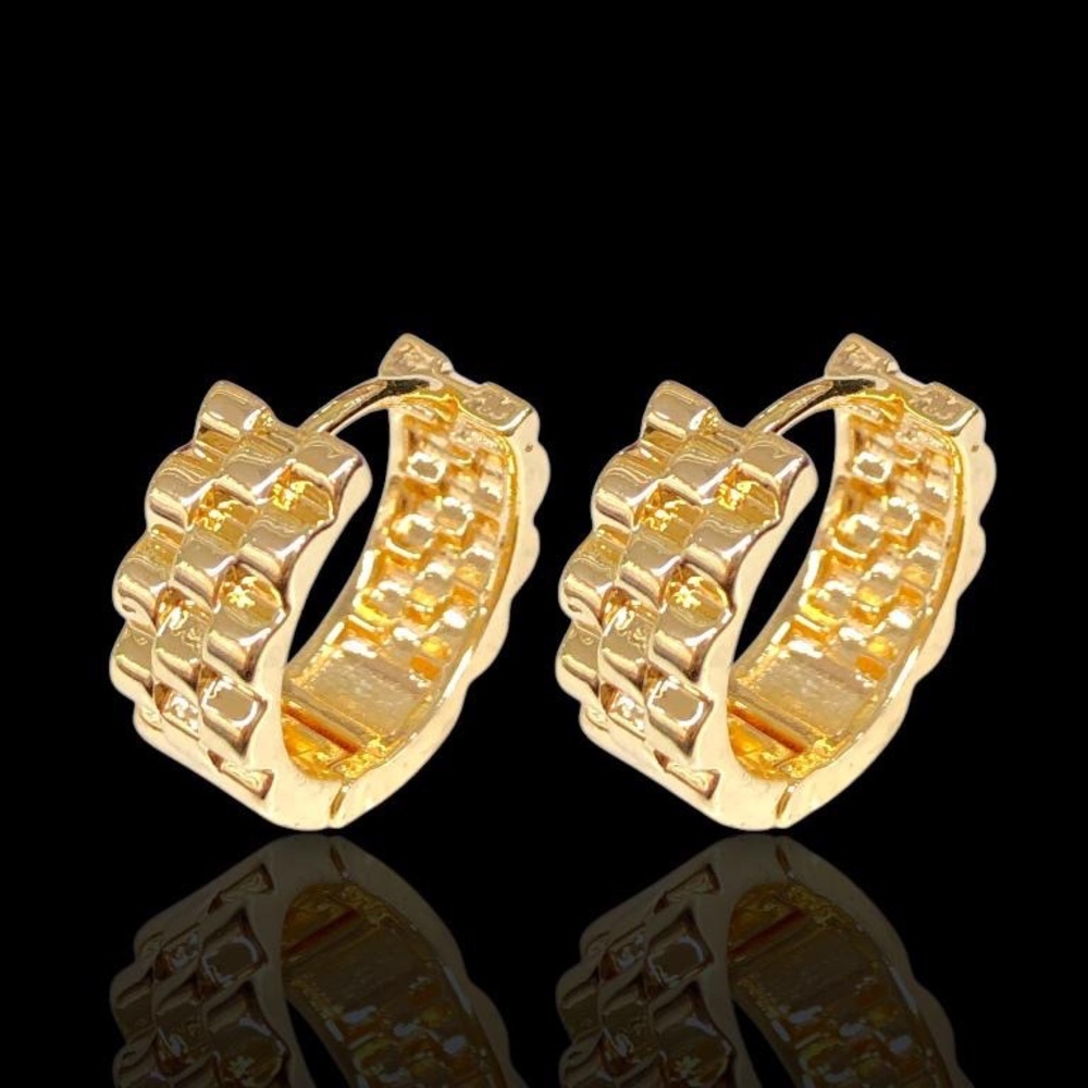 Elegant Gold Hoop Earrings